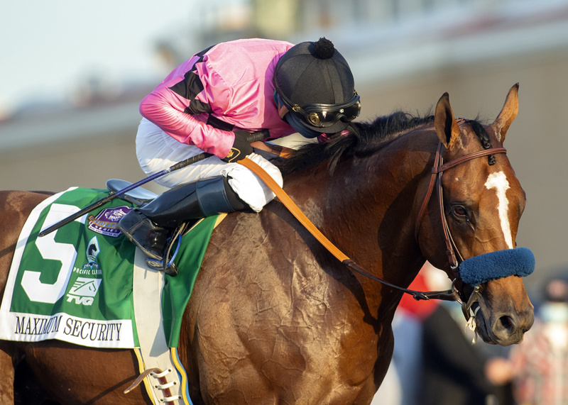 Tvg Online Horse Betting Tvg Online Horse Betting